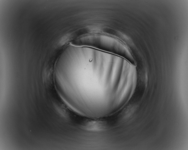 X0000086060364200704132023