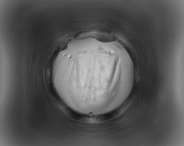 X0000086060365200704132023