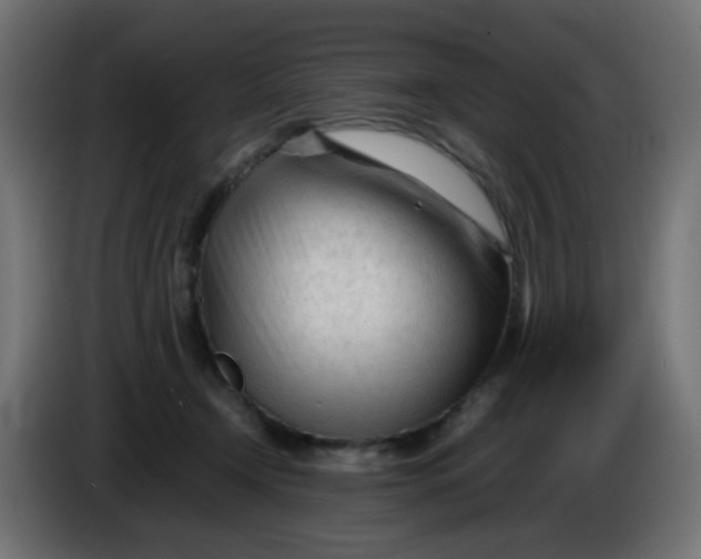 X0000086060366200704132023