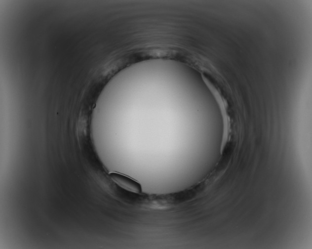 X0000086060368200704132023