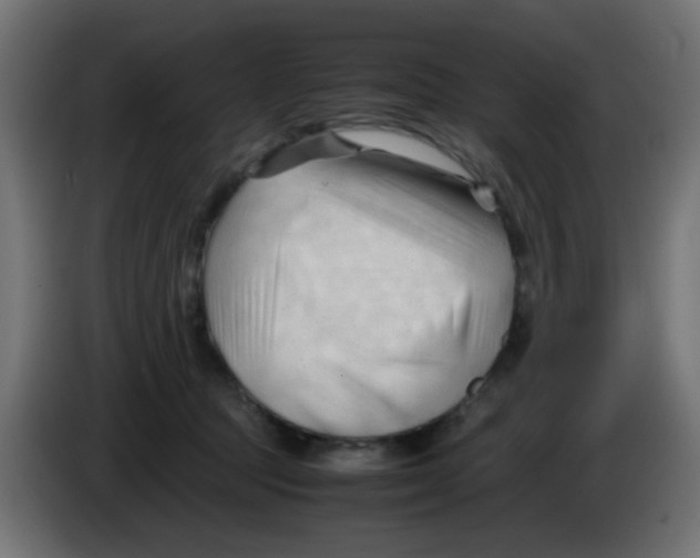 X0000086060369200704132023