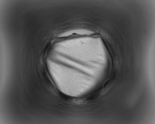 X0000086060373200704132023