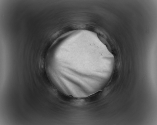 X0000086060374200704132023