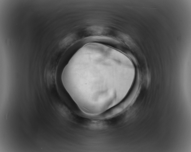 X0000086060376200704132023