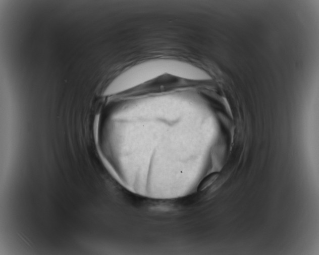 X0000086060377200704132023