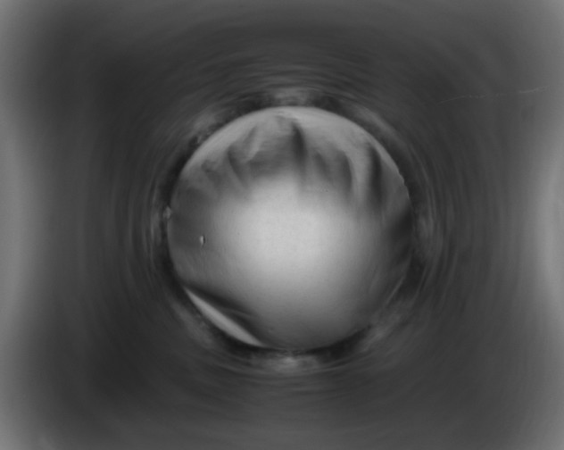 X0000086060379200704132024