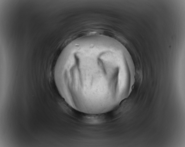 X0000086060381200704132024