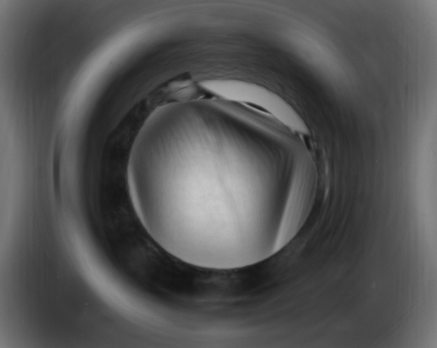 X0000086060383200704132024