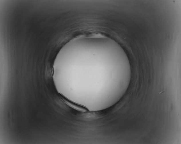 X0000086060384200704132024