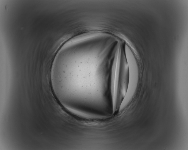 X0000086060385200704132023