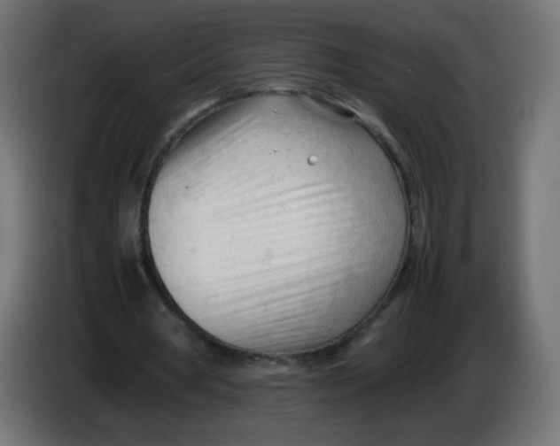 X0000086060386200704132023