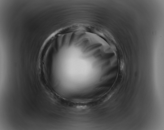 X0000086060388200704132023