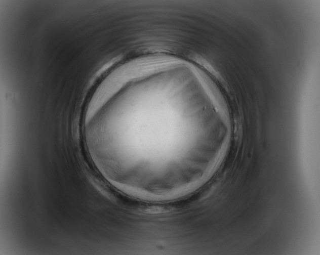 X0000086060390200704132023