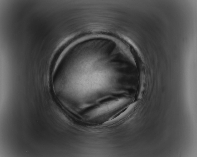 X0000086060391200704132023