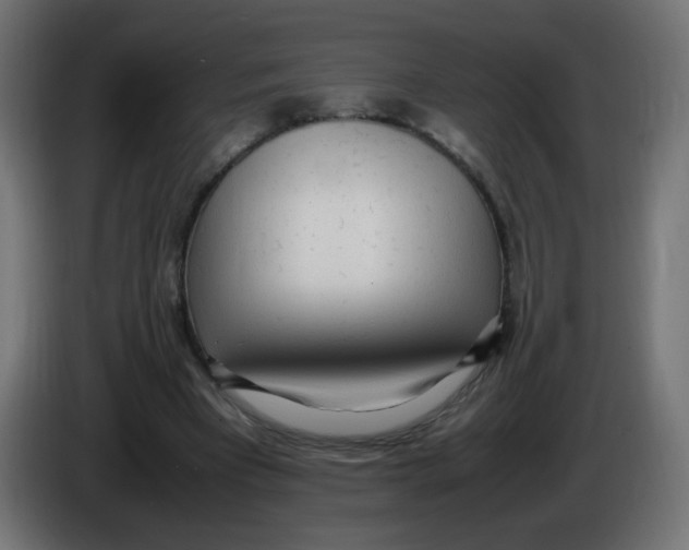 X0000086060393200704132023