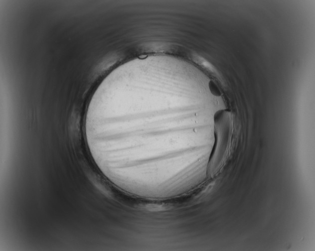 X0000086060394200704132023