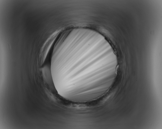 X0000086060395200704132023