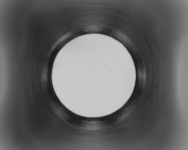 X0000086060396200704132023