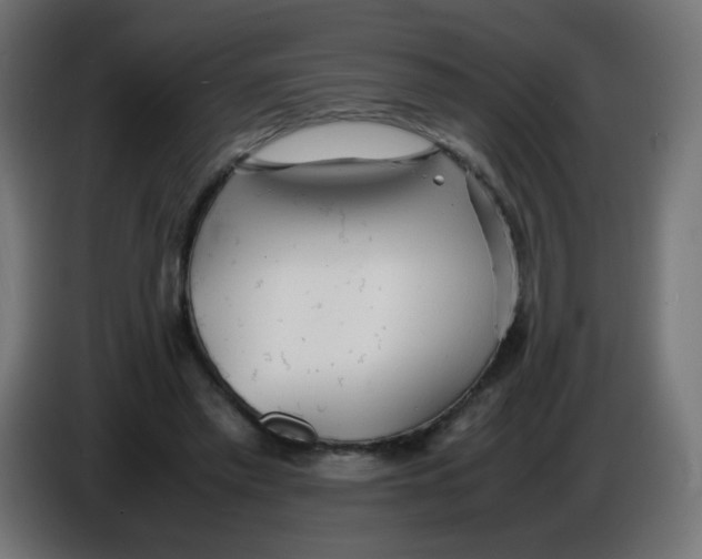 X0000086060397200704132023