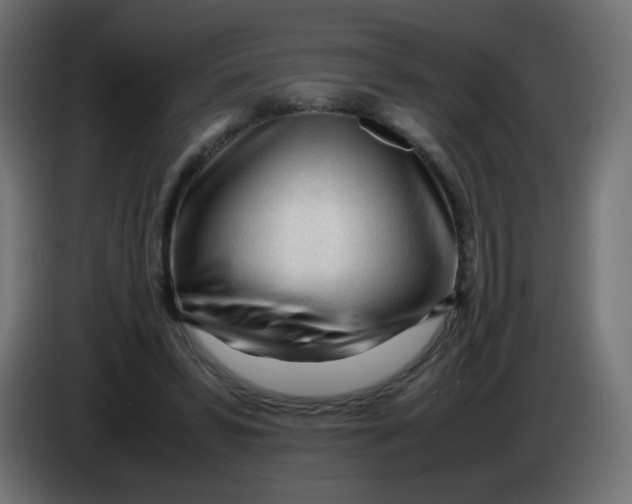 X0000086060399200704132023