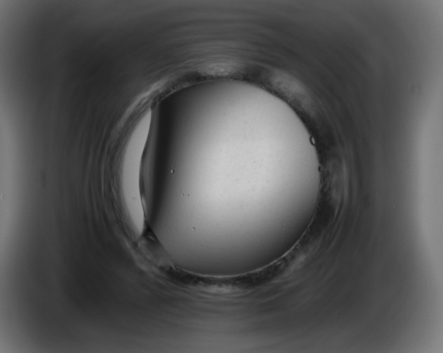 X0000086060400200704132023