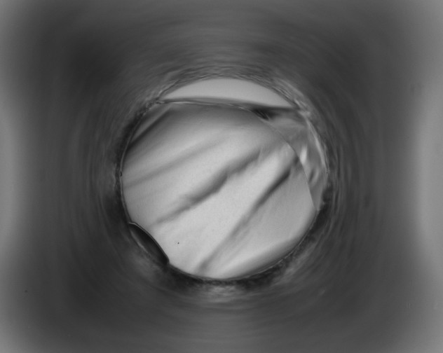 X0000086060401200704132023