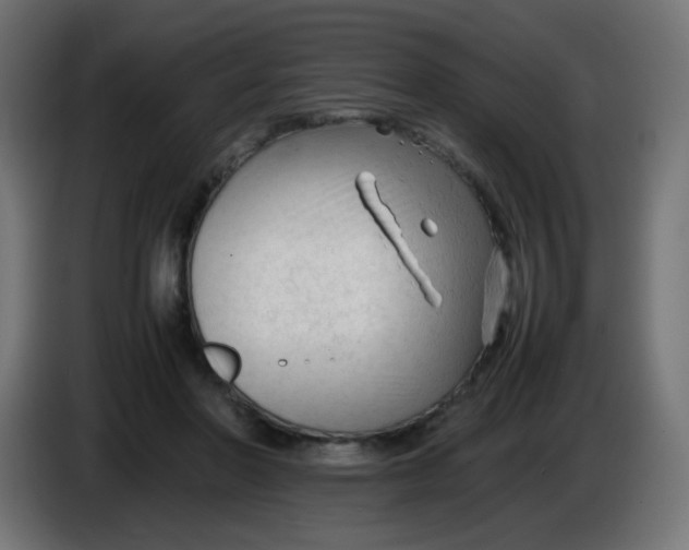 X0000086060406200704132023