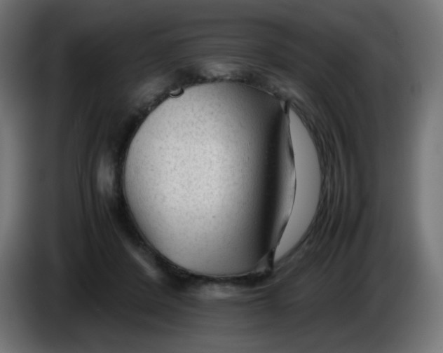 X0000086060408200704132022