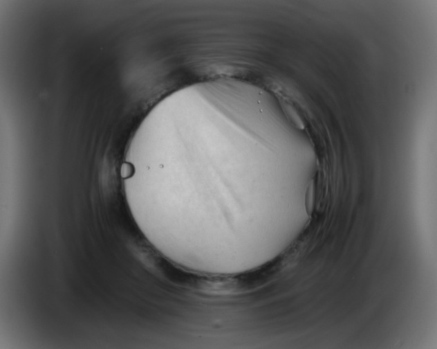 X0000086060410200704132022