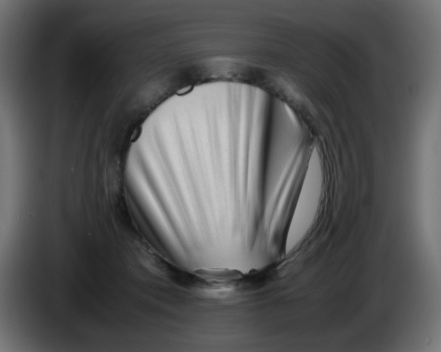 X0000086060413200704132022