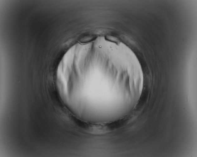 X0000086060415200704132022