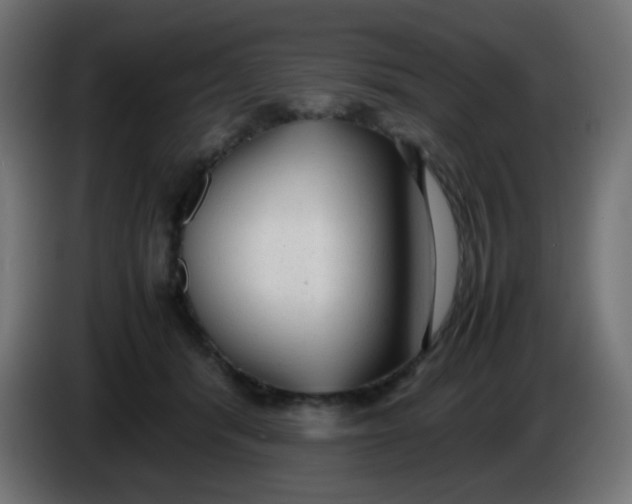 X0000086060416200704132022