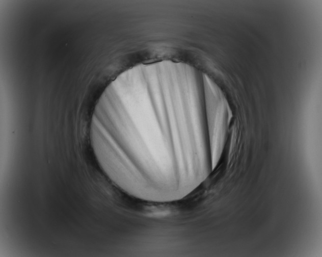 X0000086060417200704132022