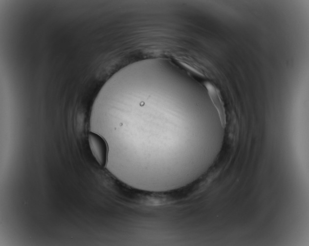 X0000086060420200704132022