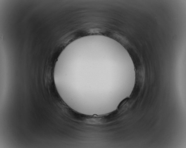 X0000086060422200704132022