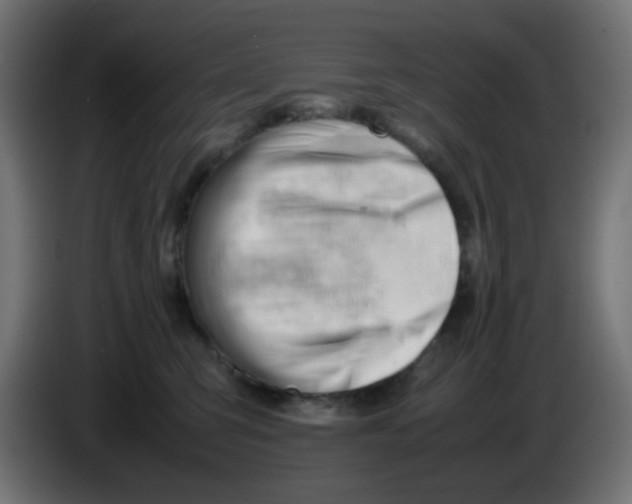 X0000086060423200704132022