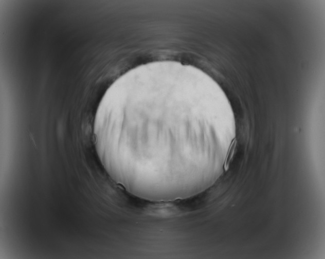 X0000086060427200704132022