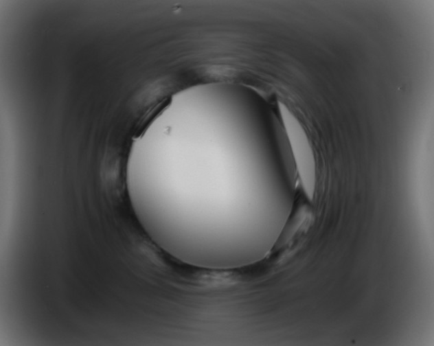 X0000086060428200704132022