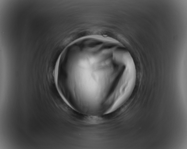 X0000086060429200704132022