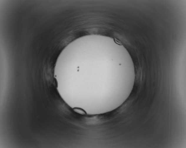 X0000086060430200704132022