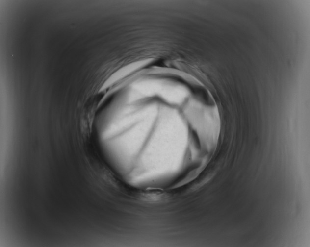 X0000086060432200704132022