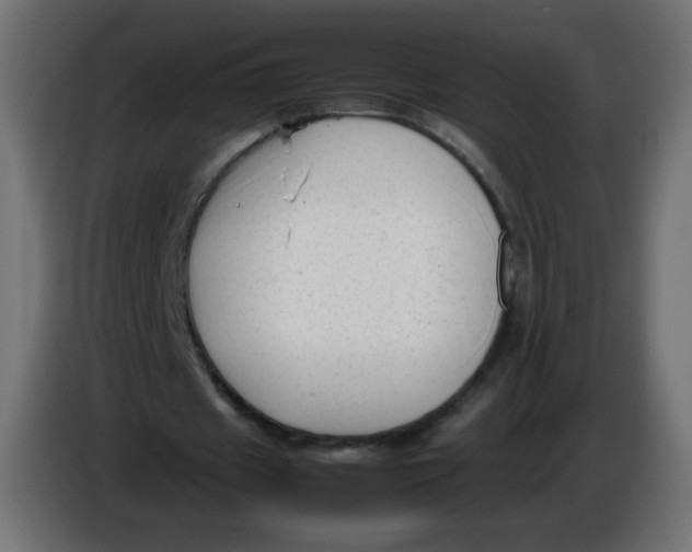 X0000086060433200704132021