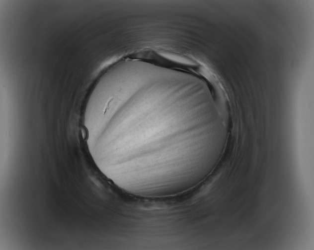 X0000086060434200704132021