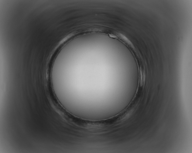 X0000086060435200704132021