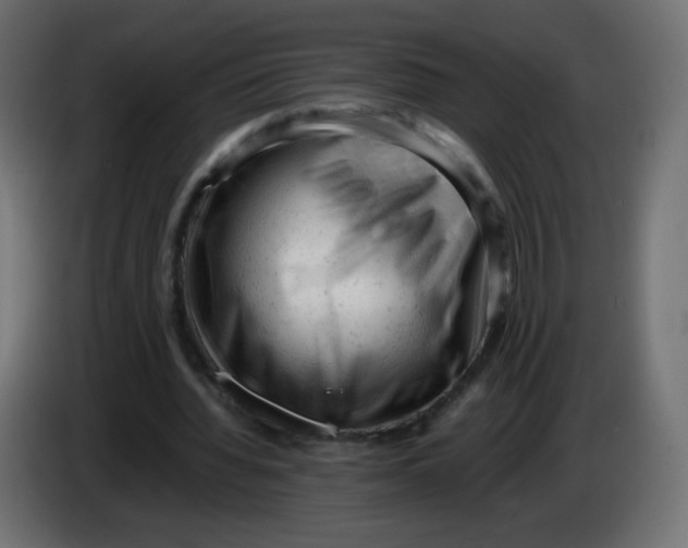 X0000086060436200704132021