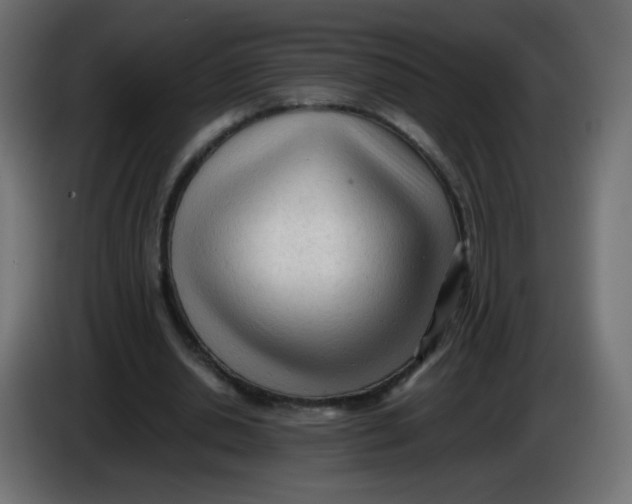 X0000086060438200704132021