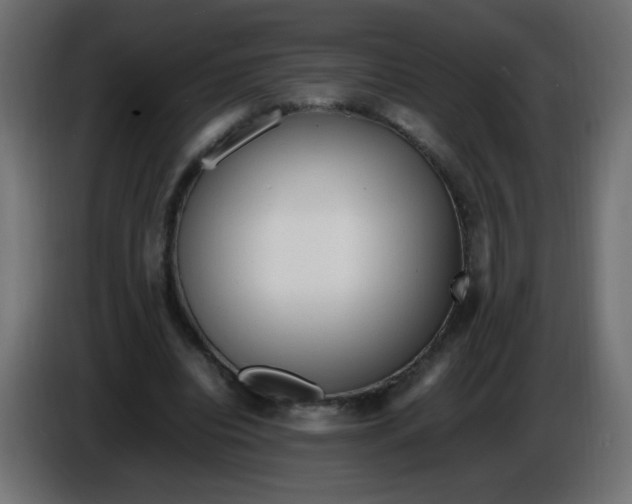 X0000086060440200704132021