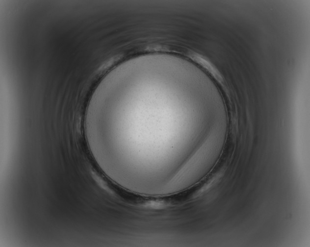 X0000086060441200704132021