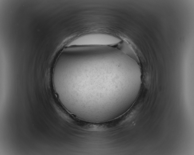 X0000086060442200704132022