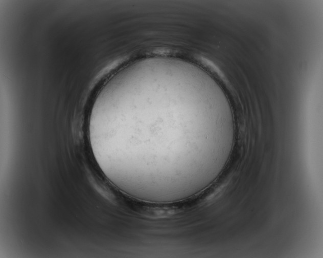 X0000086060443200704132022